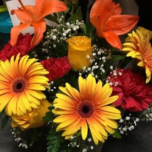 Meet your Posher, Erinn